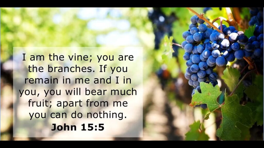 Abide in Me (the True Vine)